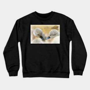 Snug Crewneck Sweatshirt